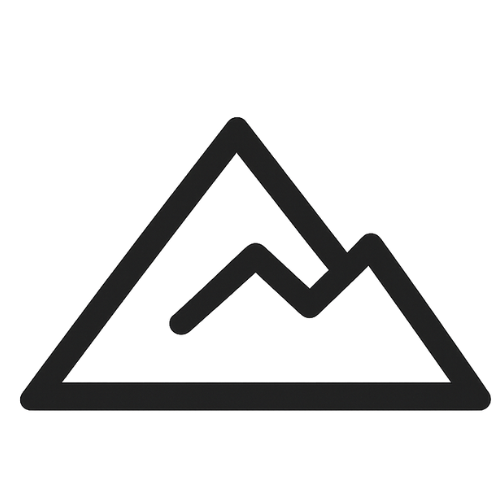Logo FRSH Originals